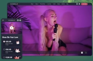 Vicetemple Launches the First Ever WordPress Theme for Adult Content Creators